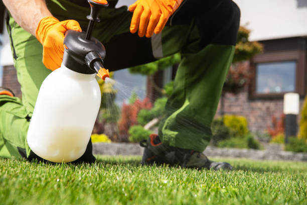 Best Pest Prevention Services  in Palmyra, NJ