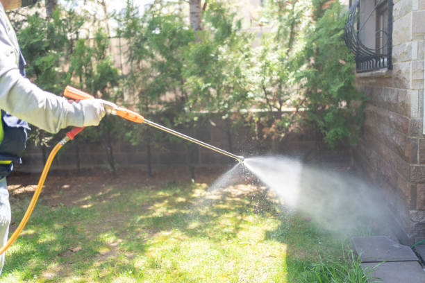 Professional Pest Control in Palmyra, NJ