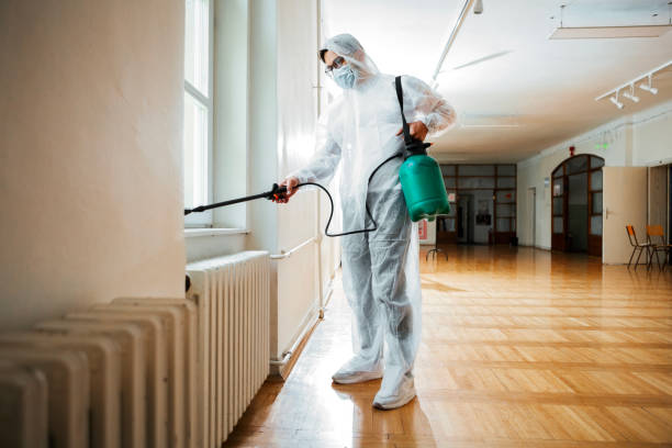 Best Wasp Removal Services  in Palmyra, NJ