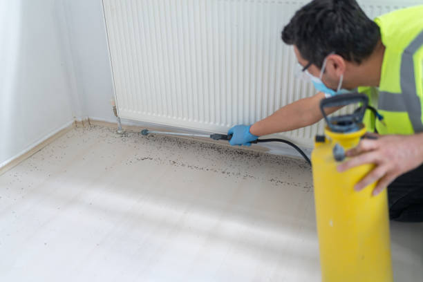 Best Affordable Pest Control Services  in Palmyra, NJ